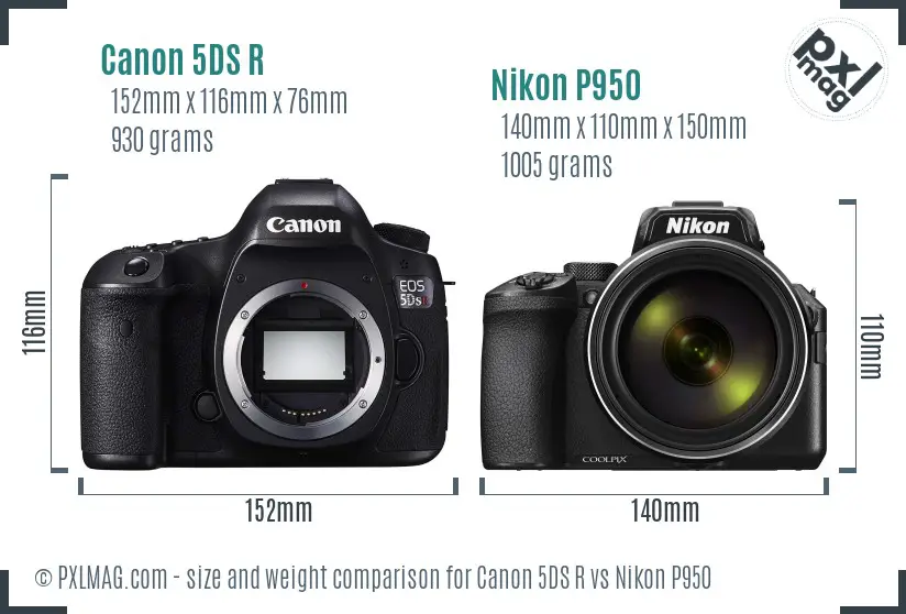 Canon 5DS R vs Nikon P950 size comparison