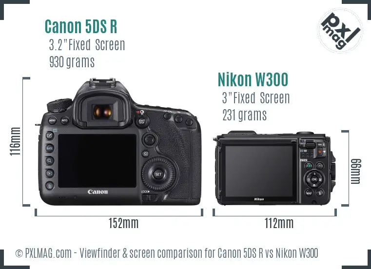 Canon 5DS R vs Nikon W300 Screen and Viewfinder comparison