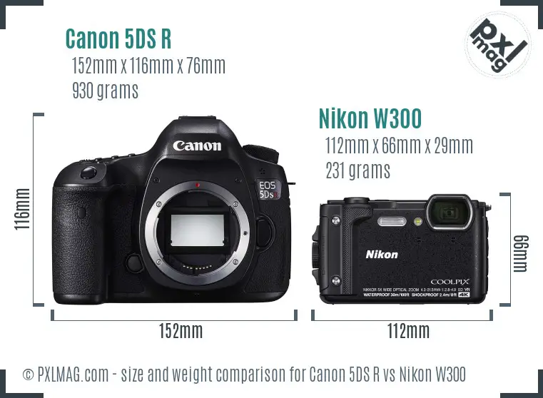 Canon 5DS R vs Nikon W300 size comparison