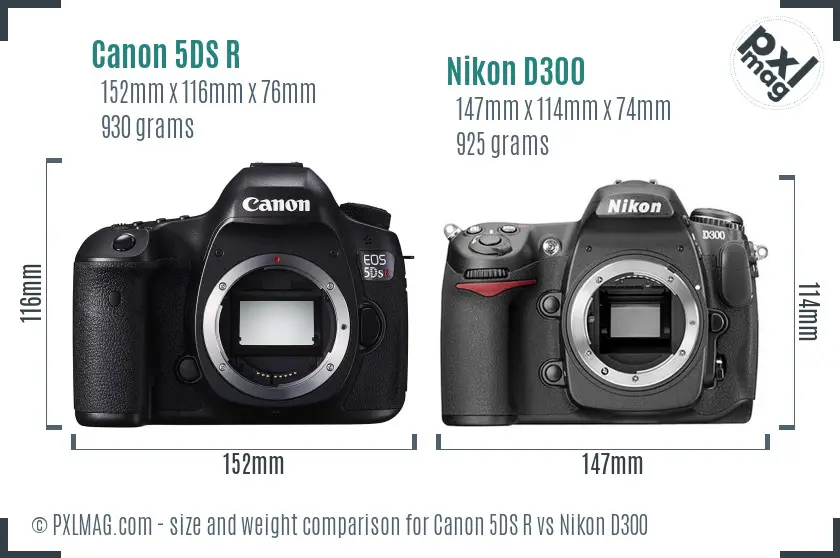 Canon 5DS R vs Nikon D300 size comparison