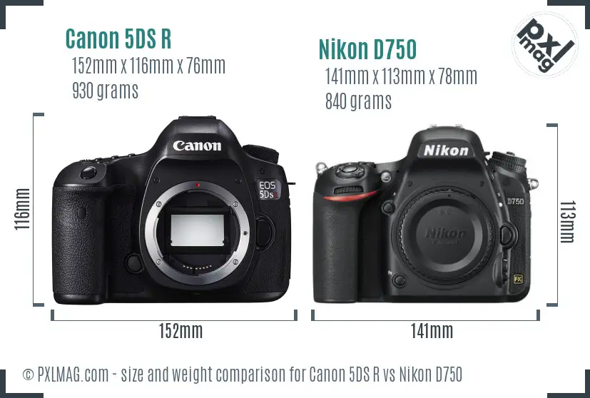 Canon 5DS R vs Nikon D750 size comparison