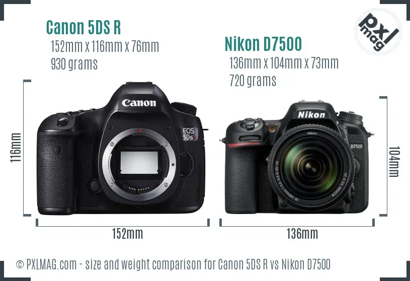 Canon 5DS R vs Nikon D7500 size comparison