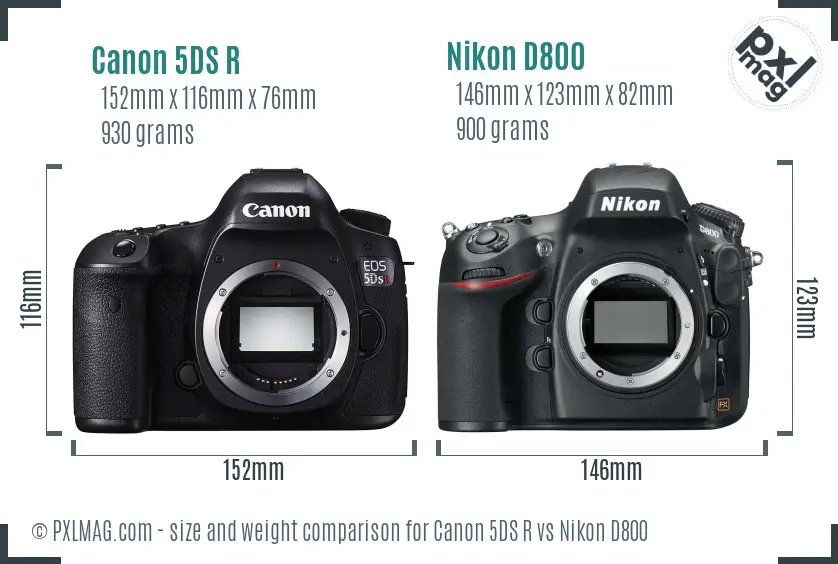 Canon 5DS R vs Nikon D800 size comparison