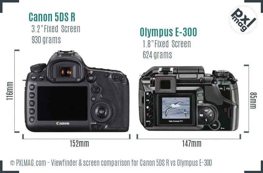 Canon 5DS R vs Olympus E-300 Screen and Viewfinder comparison