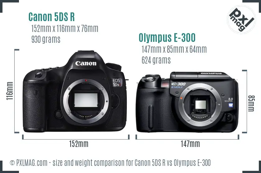 Canon 5DS R vs Olympus E-300 size comparison