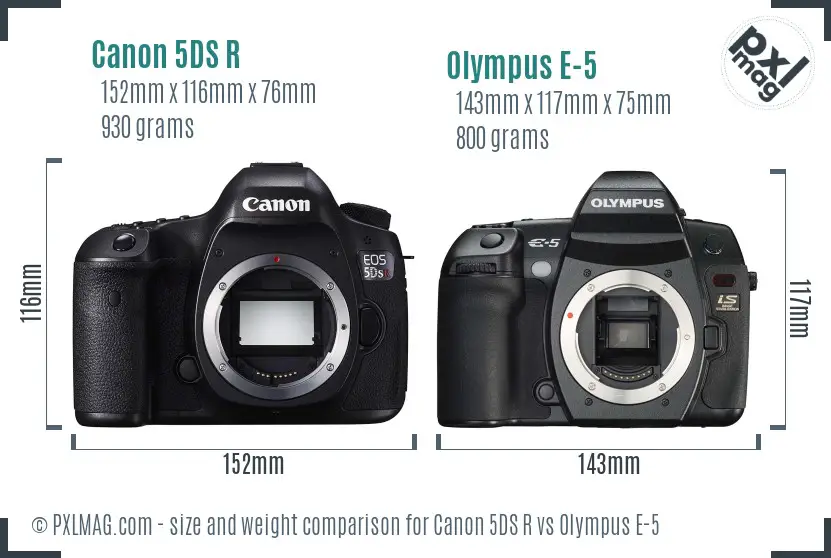 Canon 5DS R vs Olympus E-5 size comparison