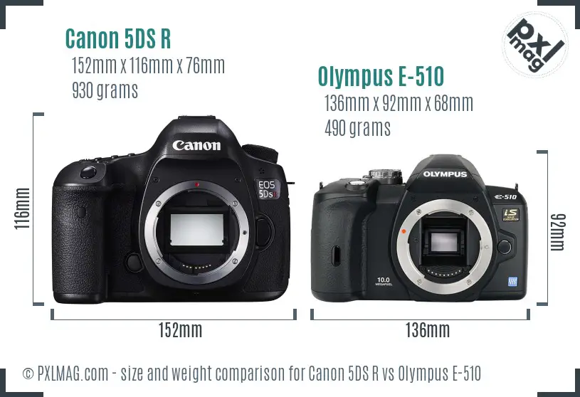 Canon 5DS R vs Olympus E-510 size comparison