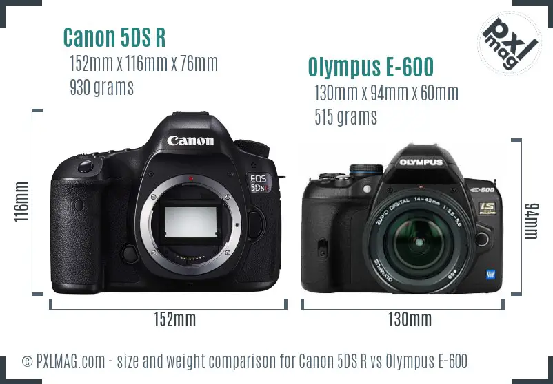 Canon 5DS R vs Olympus E-600 size comparison