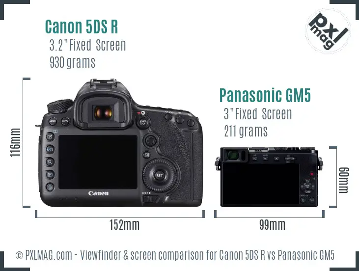 Canon 5DS R vs Panasonic GM5 Screen and Viewfinder comparison