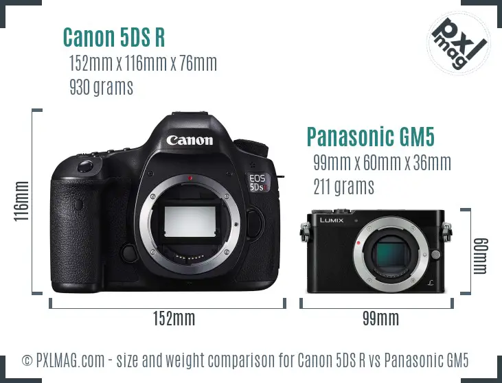 Canon 5DS R vs Panasonic GM5 size comparison