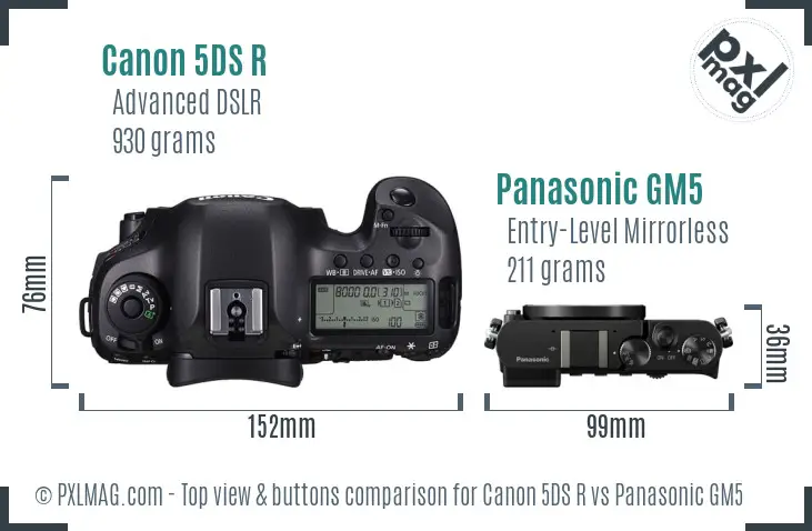 Canon 5DS R vs Panasonic GM5 top view buttons comparison