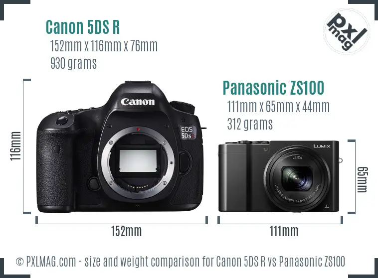 Canon 5DS R vs Panasonic ZS100 size comparison