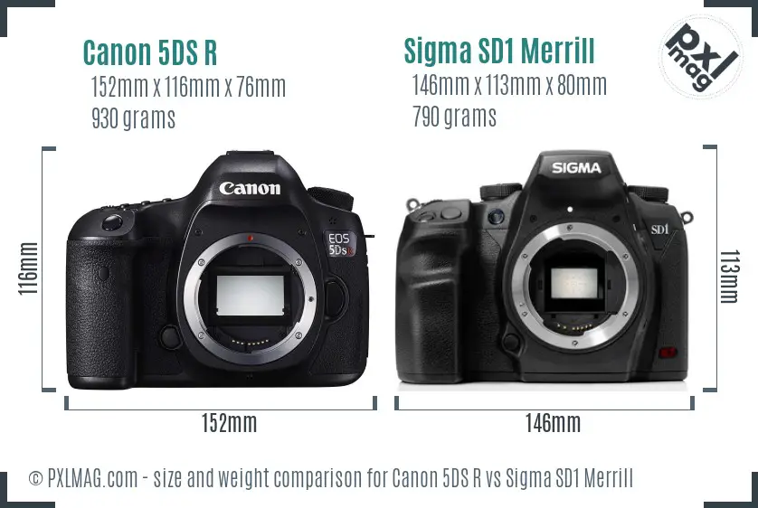 Canon 5DS R vs Sigma SD1 Merrill size comparison
