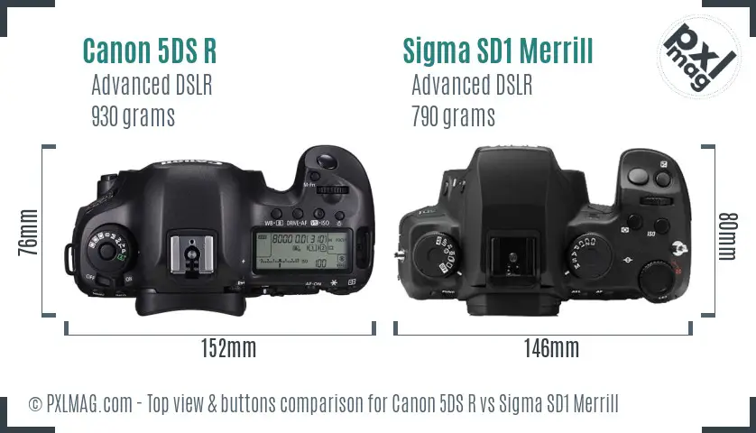 Canon 5DS R vs Sigma SD1 Merrill top view buttons comparison