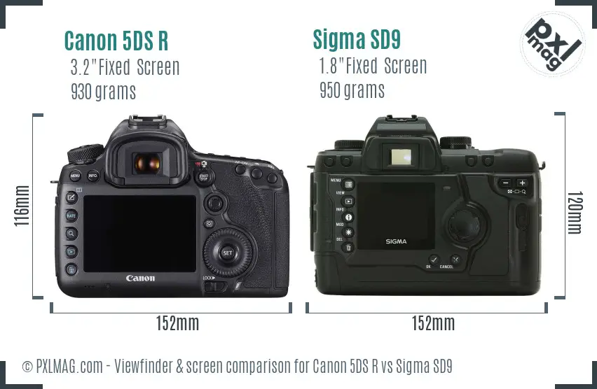 Canon 5DS R vs Sigma SD9 Screen and Viewfinder comparison