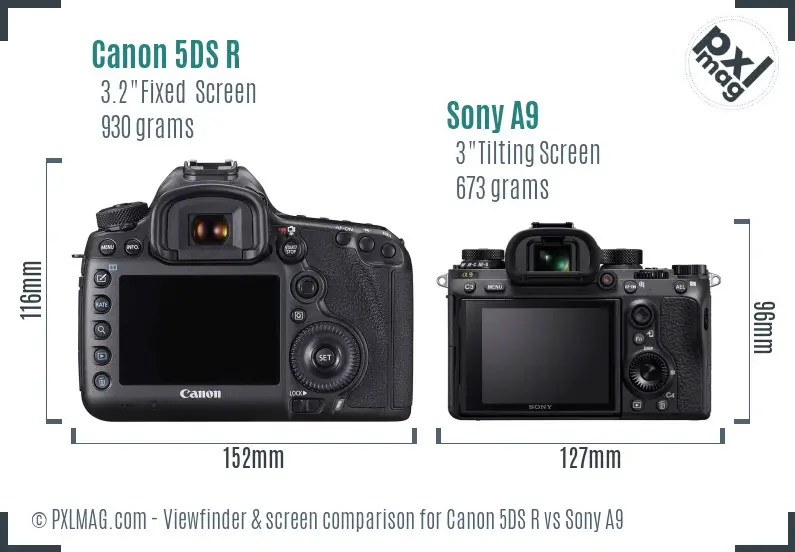Canon 5DS R vs Sony A9 Screen and Viewfinder comparison