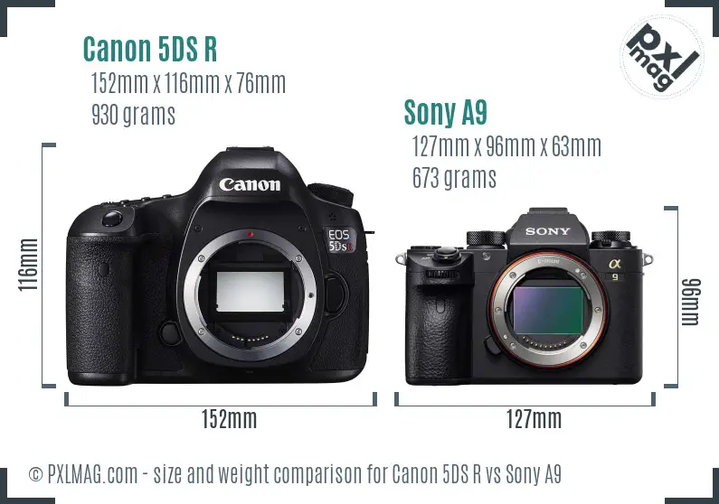 Canon 5DS R vs Sony A9 size comparison
