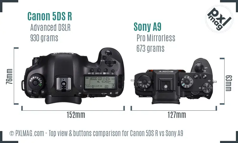 Canon 5DS R vs Sony A9 top view buttons comparison
