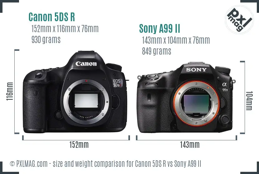 Canon 5DS R vs Sony A99 II size comparison
