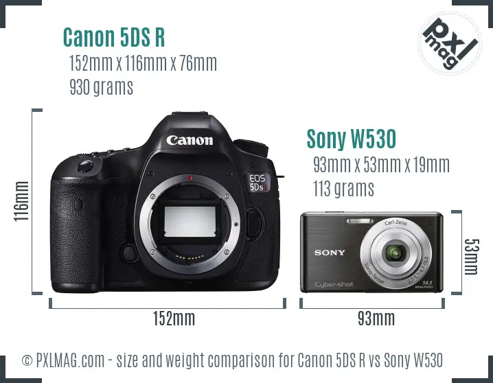 Canon 5DS R vs Sony W530 size comparison