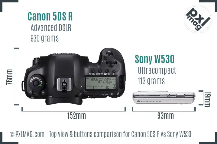 Canon 5DS R vs Sony W530 top view buttons comparison