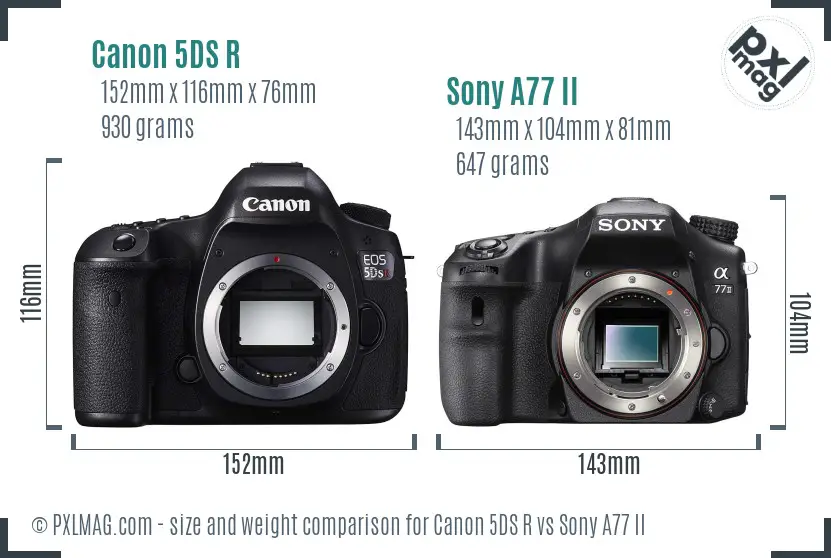 Canon 5DS R vs Sony A77 II size comparison