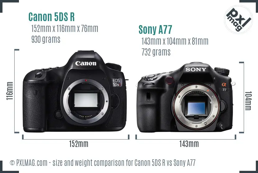 Canon 5DS R vs Sony A77 size comparison