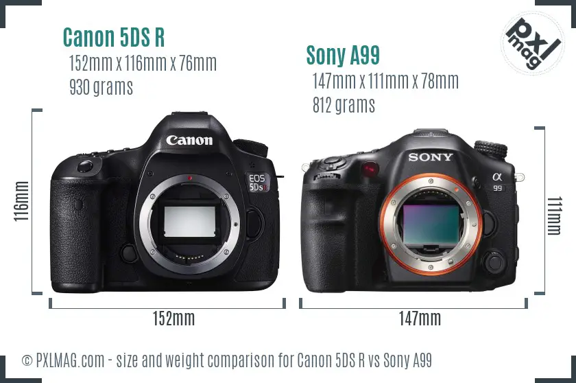 Canon 5DS R vs Sony A99 size comparison