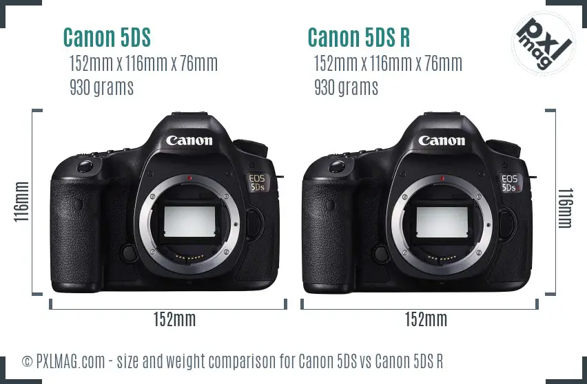 Canon 5DS vs Canon 5DS R size comparison