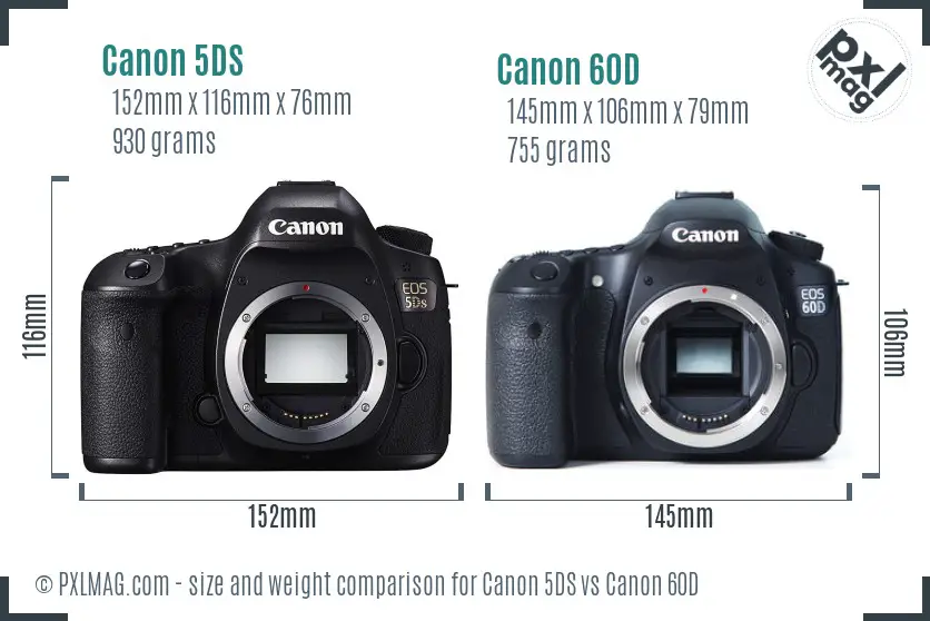 Canon 5DS vs Canon 60D size comparison