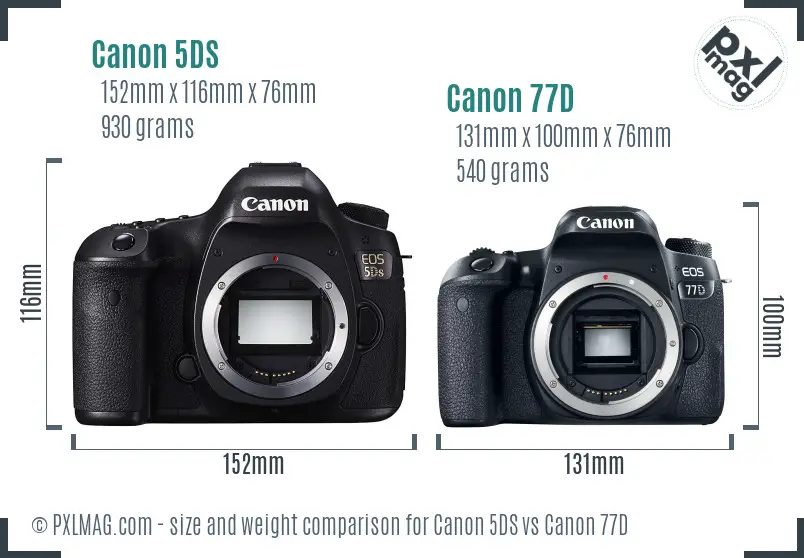 Canon 5DS vs Canon 77D size comparison