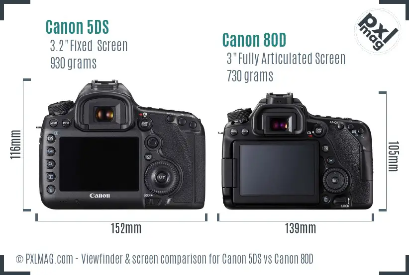 Canon 5DS vs Canon 80D Screen and Viewfinder comparison