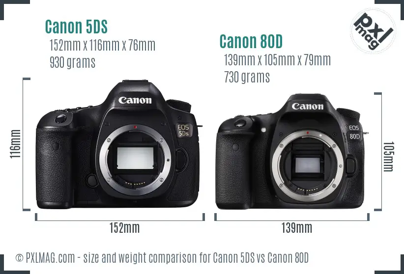 Canon 5DS vs Canon 80D size comparison