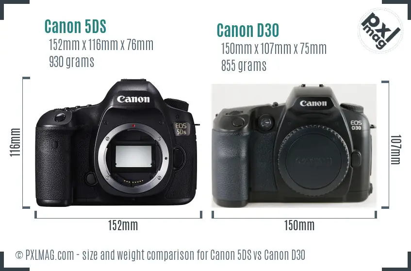 Canon 5DS vs Canon D30 size comparison