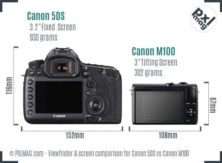 Canon 5DS vs Canon M100 Screen and Viewfinder comparison