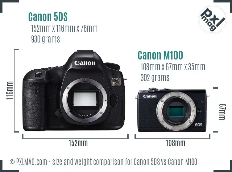 Canon 5DS vs Canon M100 size comparison