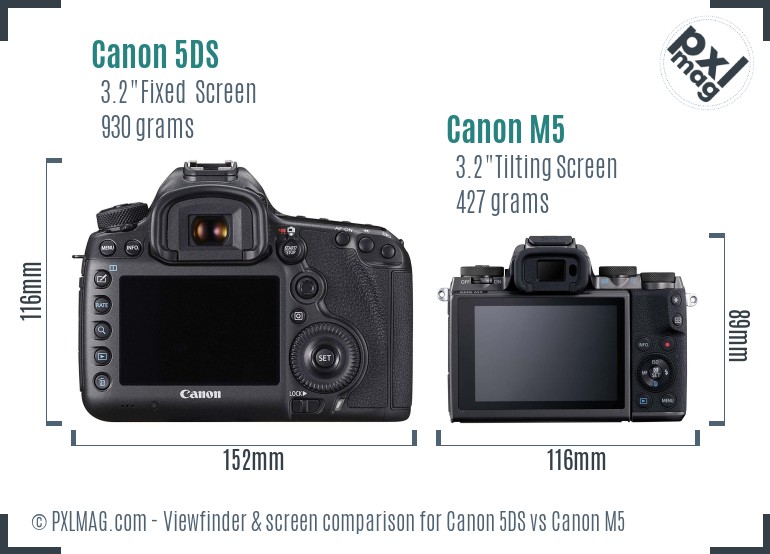 Canon 5DS vs Canon M5 Screen and Viewfinder comparison