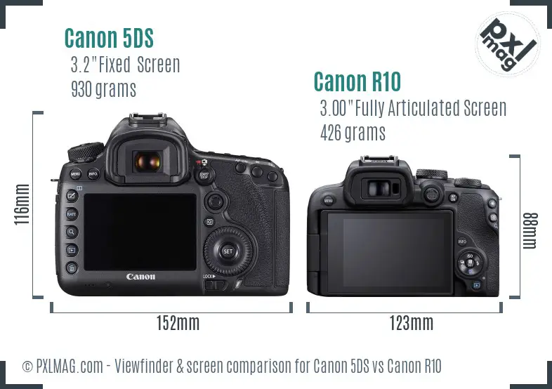 Canon 5DS vs Canon R10 Screen and Viewfinder comparison
