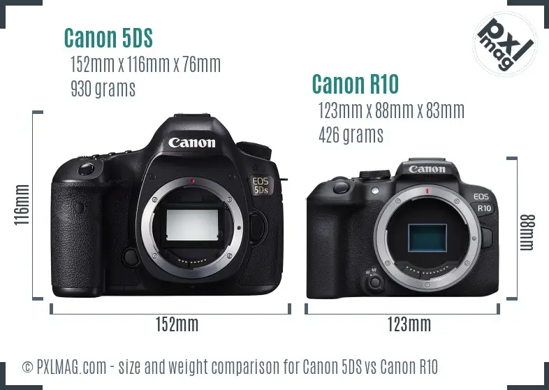 Canon 5DS vs Canon R10 size comparison