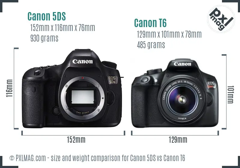 Canon 5DS vs Canon T6 size comparison