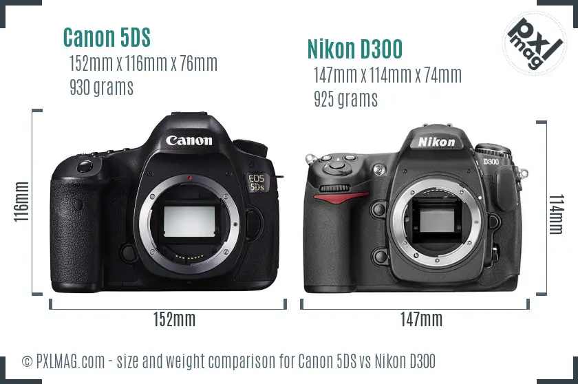 Canon 5DS vs Nikon D300 size comparison