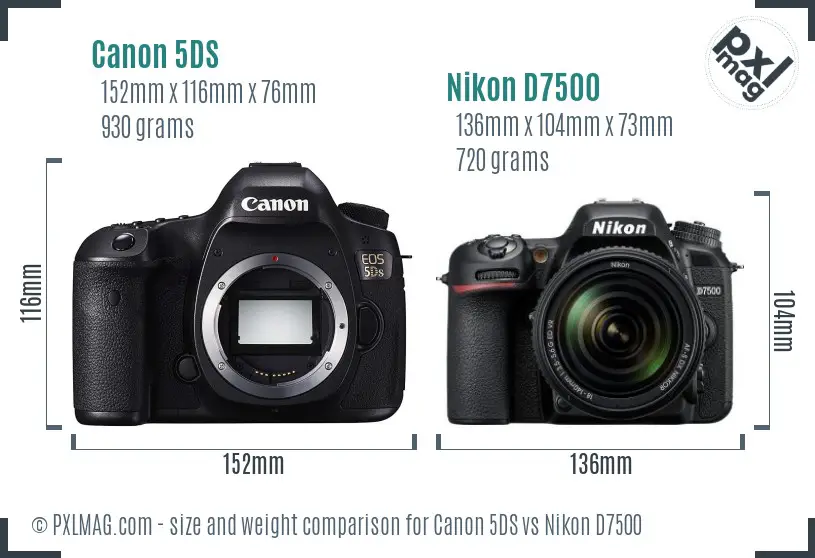 Canon 5DS vs Nikon D7500 size comparison
