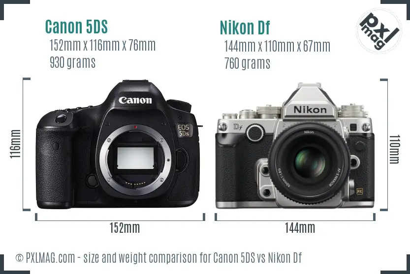 Canon 5DS vs Nikon Df size comparison