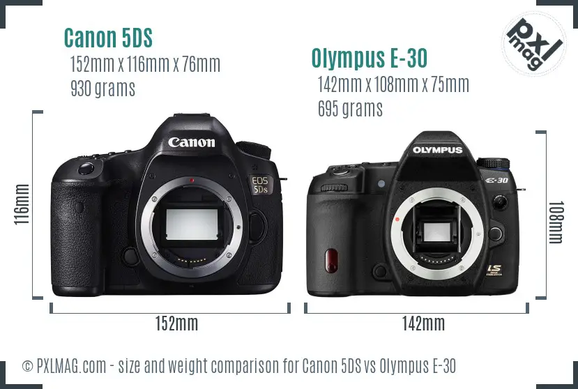 Canon 5DS vs Olympus E-30 size comparison