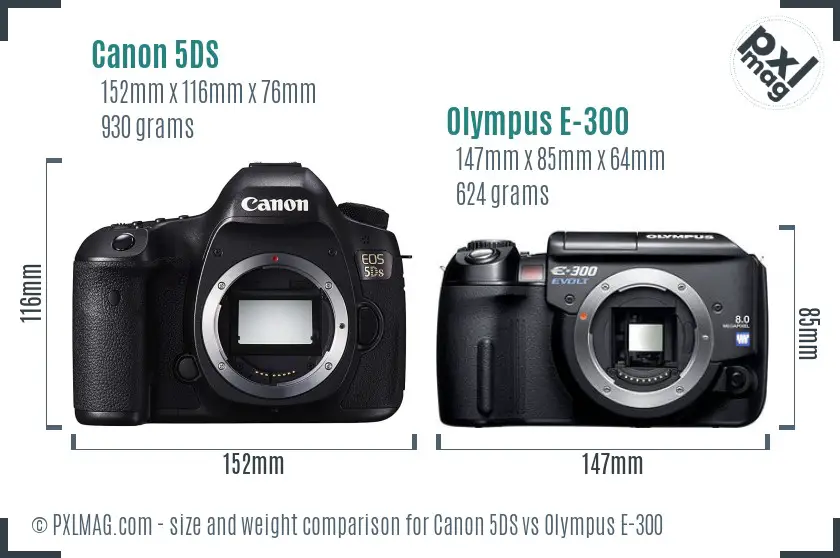 Canon 5DS vs Olympus E-300 size comparison Canon 5DS vs Olympus E-300 size comparison