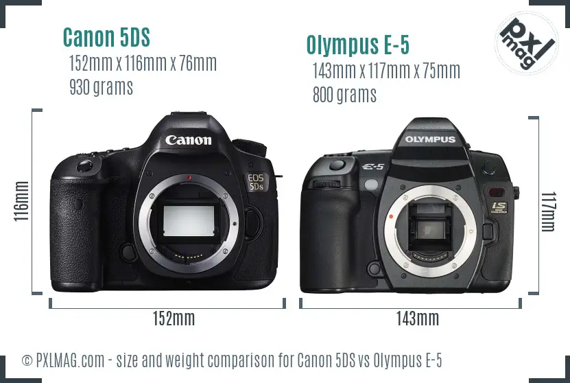 Canon 5DS vs Olympus E-5 size comparison
