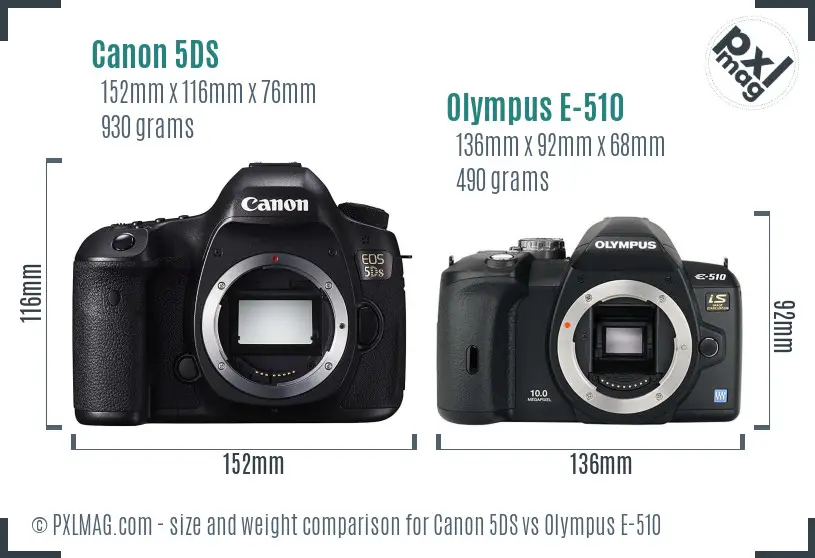 Canon 5DS vs Olympus E-510 size comparison