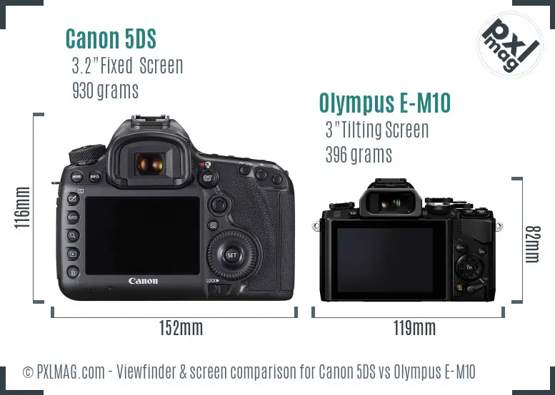Canon 5DS vs Olympus E-M10 Screen and Viewfinder comparison