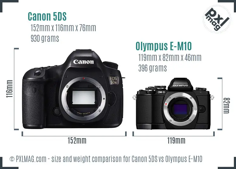 Canon 5DS vs Olympus E-M10 size comparison