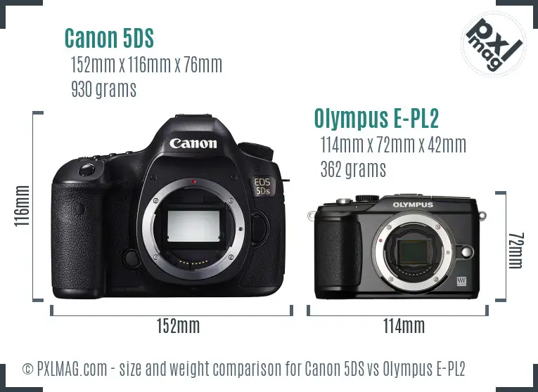 Canon 5DS vs Olympus E-PL2 size comparison